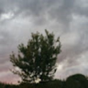 Meet your Posher, Claudiette